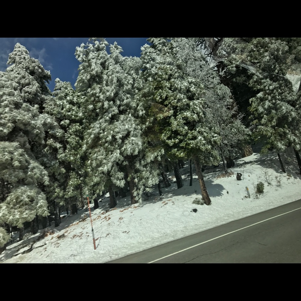 Meet your Posher, Cristy